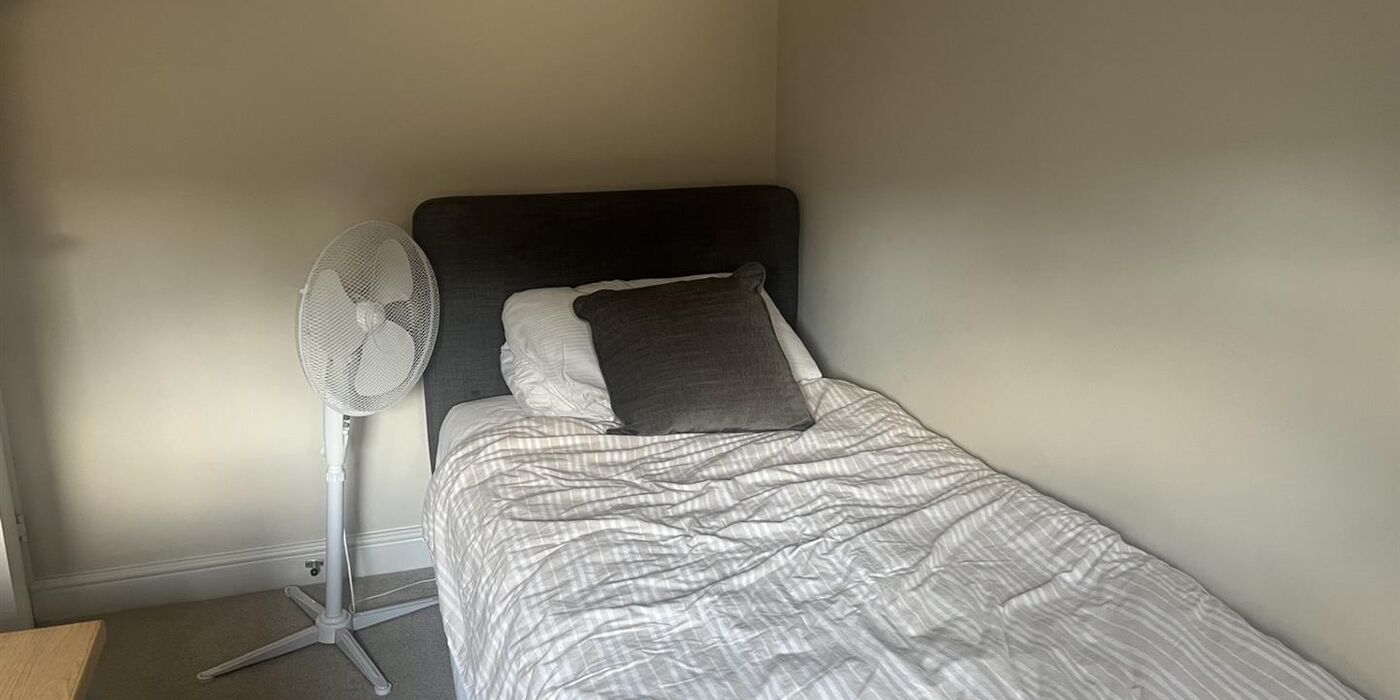 Zmo Sl2 Stz UC Sy3f6 Ivqp8w